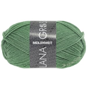 Lana Grossa MEILENWEIT 50g | 1377-gris vert