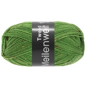 Lana Grossa MEILENWEIT 100g Tweed | 165-vert