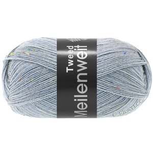Lana Grossa MEILENWEIT 100g Tweed | 171-bleu gris