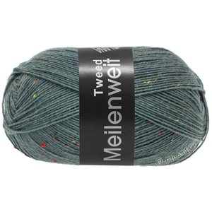 Lana Grossa MEILENWEIT 100g Tweed | 172-gris bleu