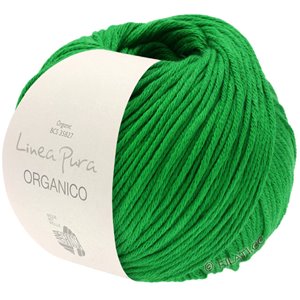 Lana Grossa ORGANICO  Uni (Linea Pura) | 163-vert herbe